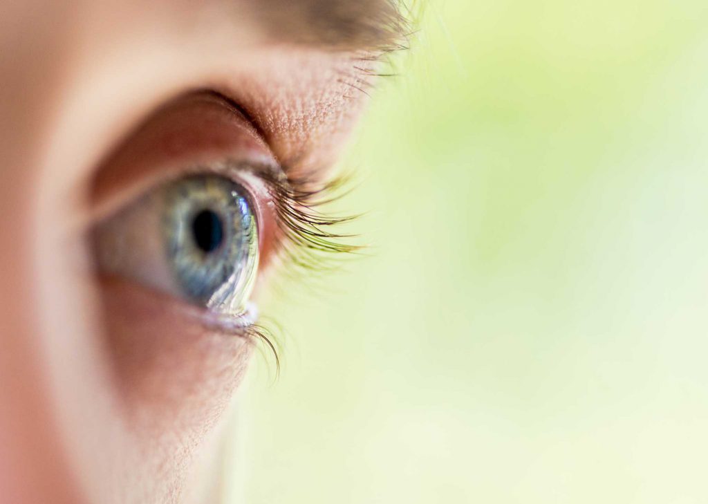 Orthokeratology Lensa Malam Untuk Penglihatan Yang Jelas